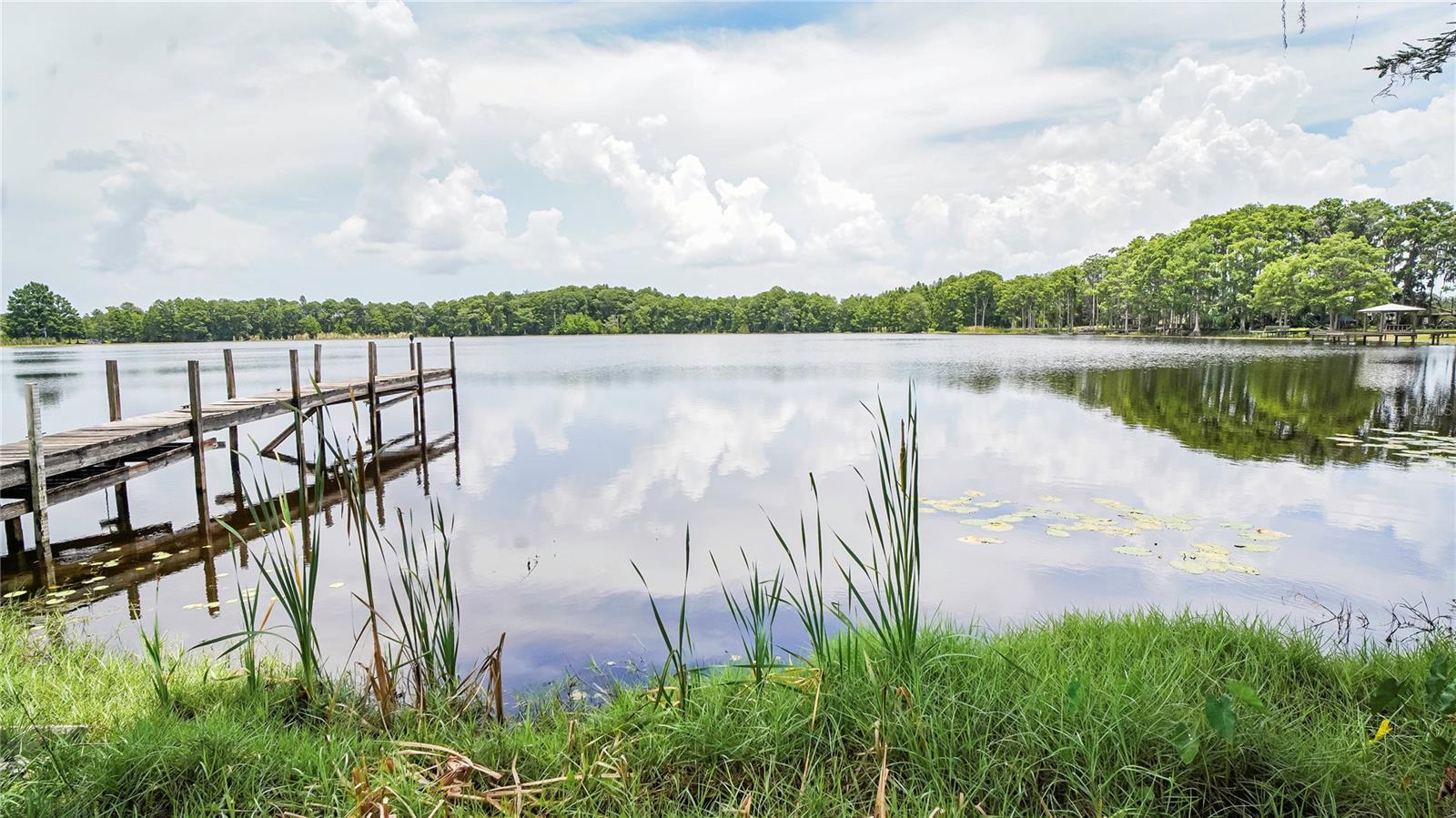 Directly behind and part of the property.