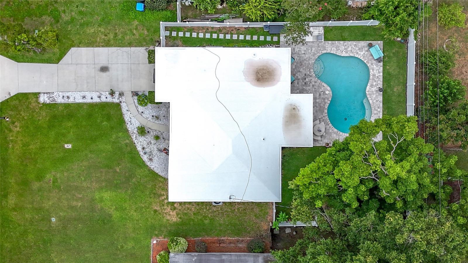 Bird's Eye