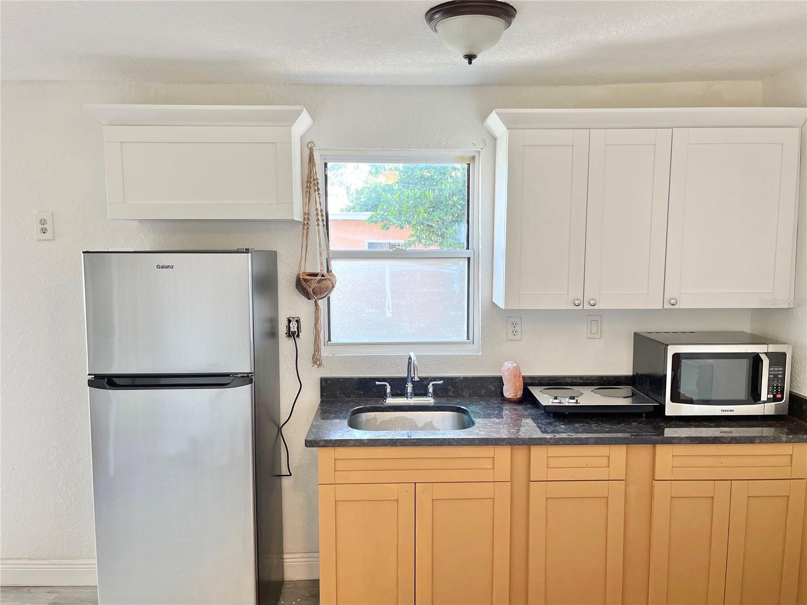 in-law suite 1/1 kitchen area