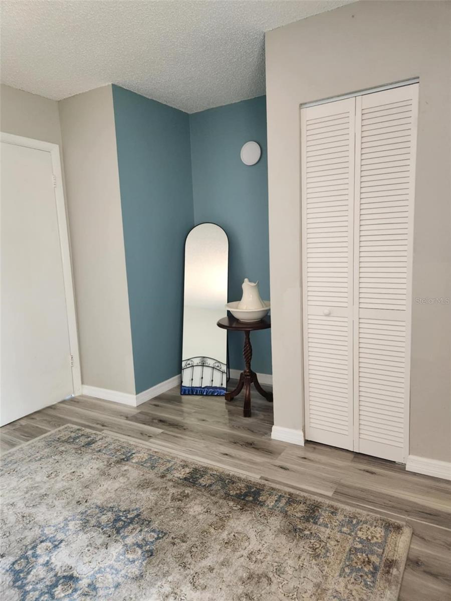 Vanity area in Master