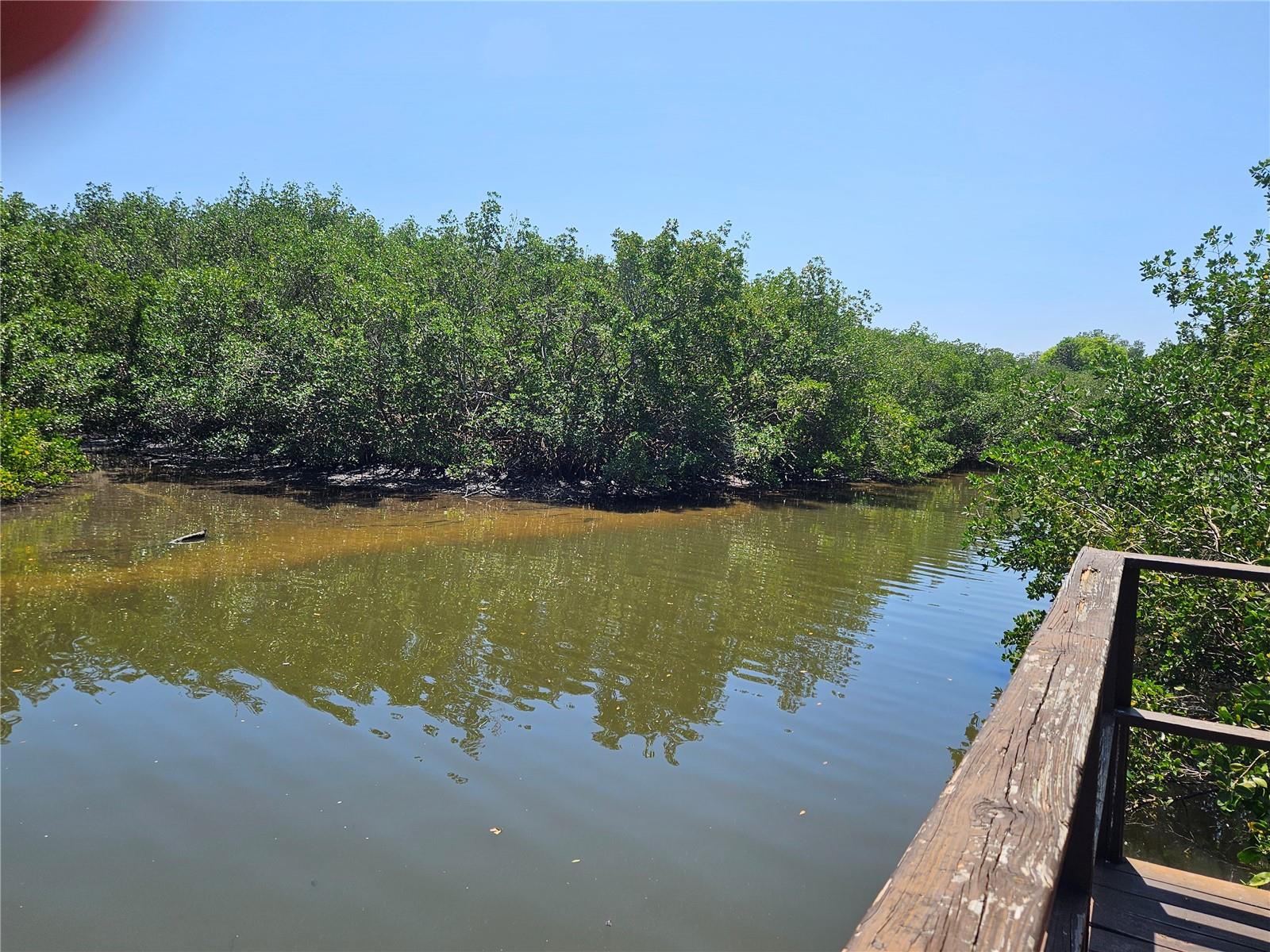 View from Dock