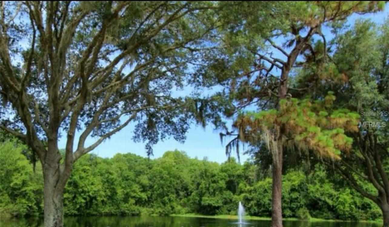 Beautiful  ponds throughout Ridgemoor