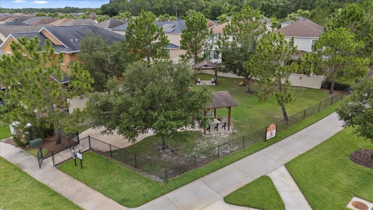 DOG PARK
