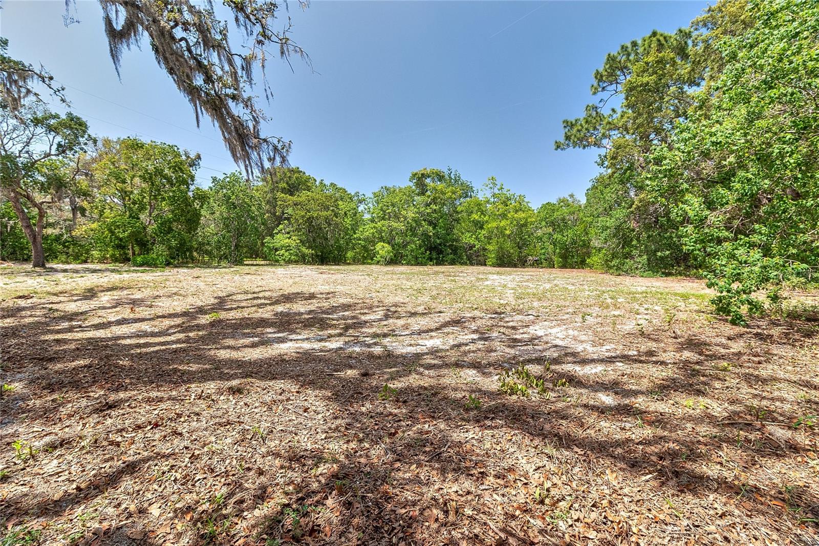 Back pasture