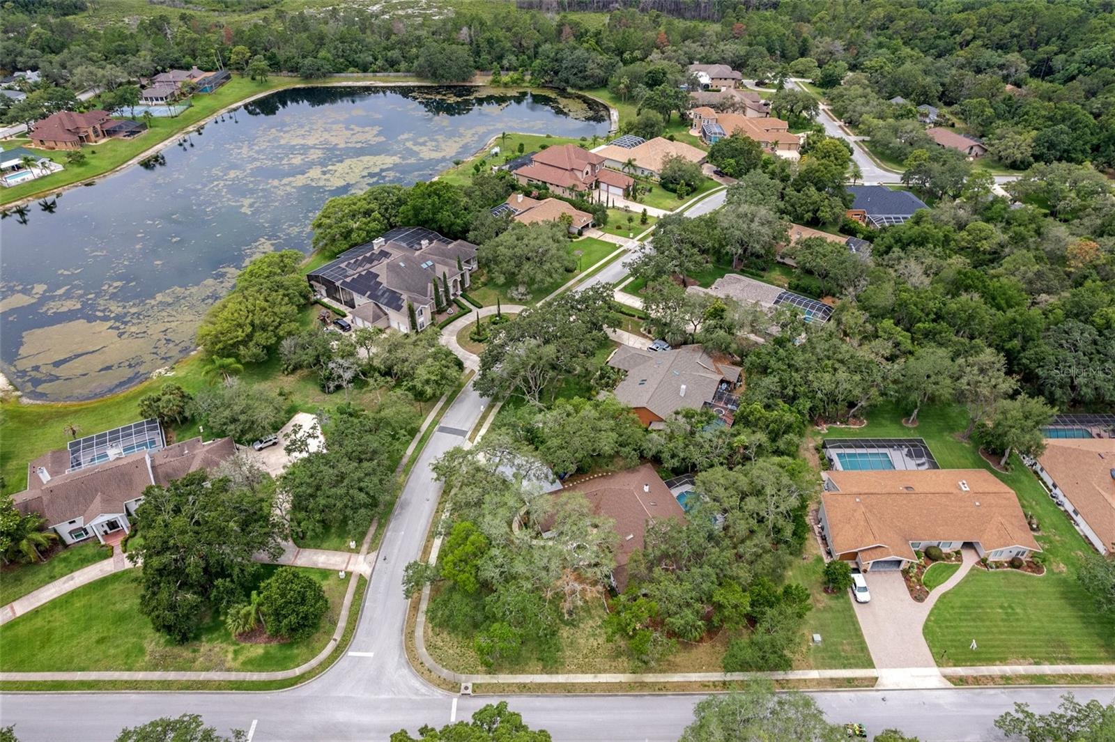 W7875911