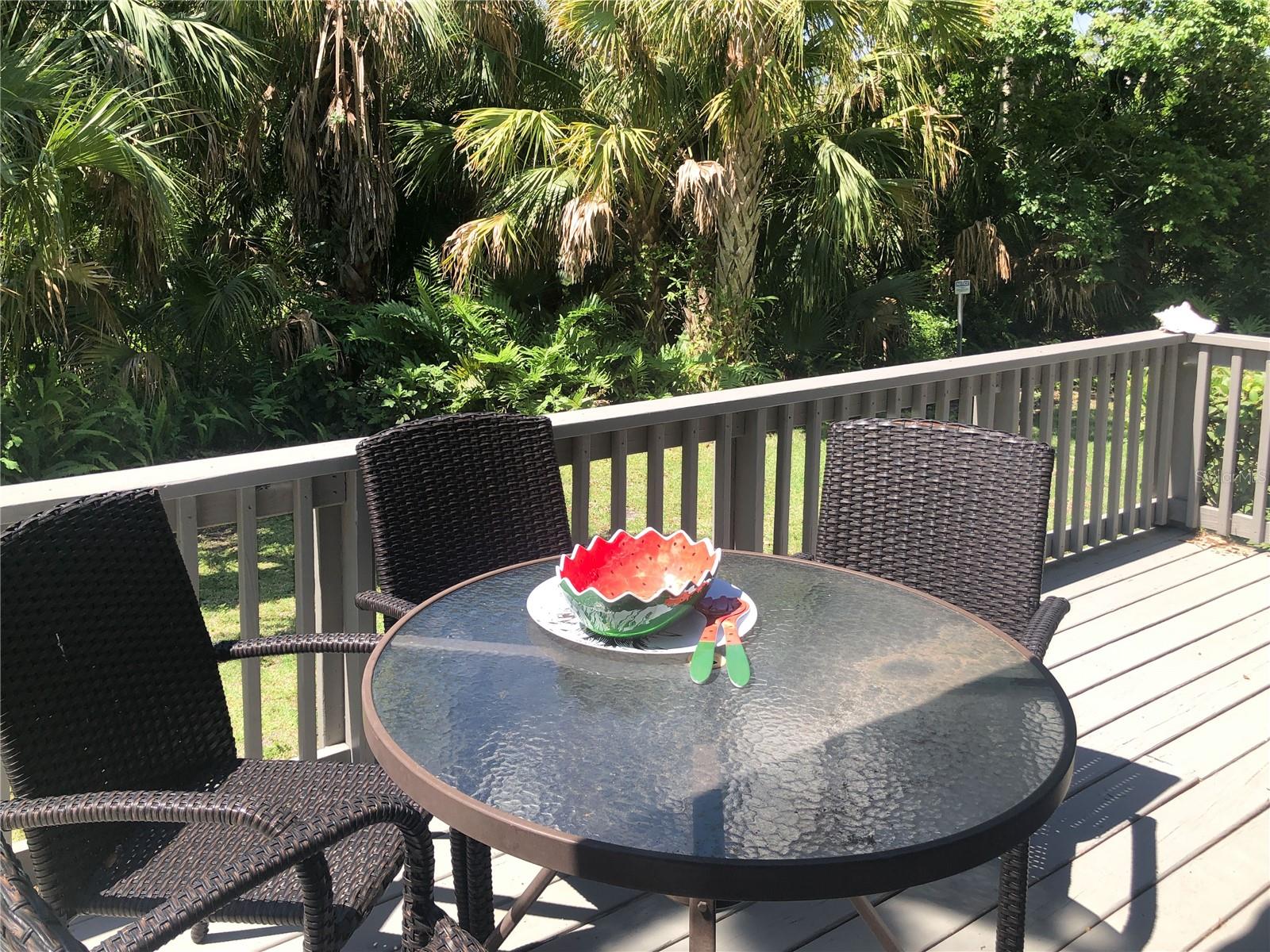 Back Patio with Nature view