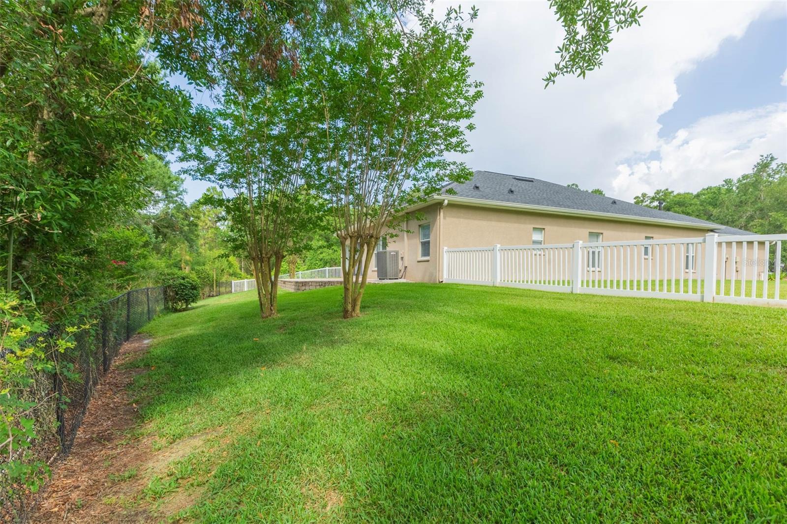 HUGE yard