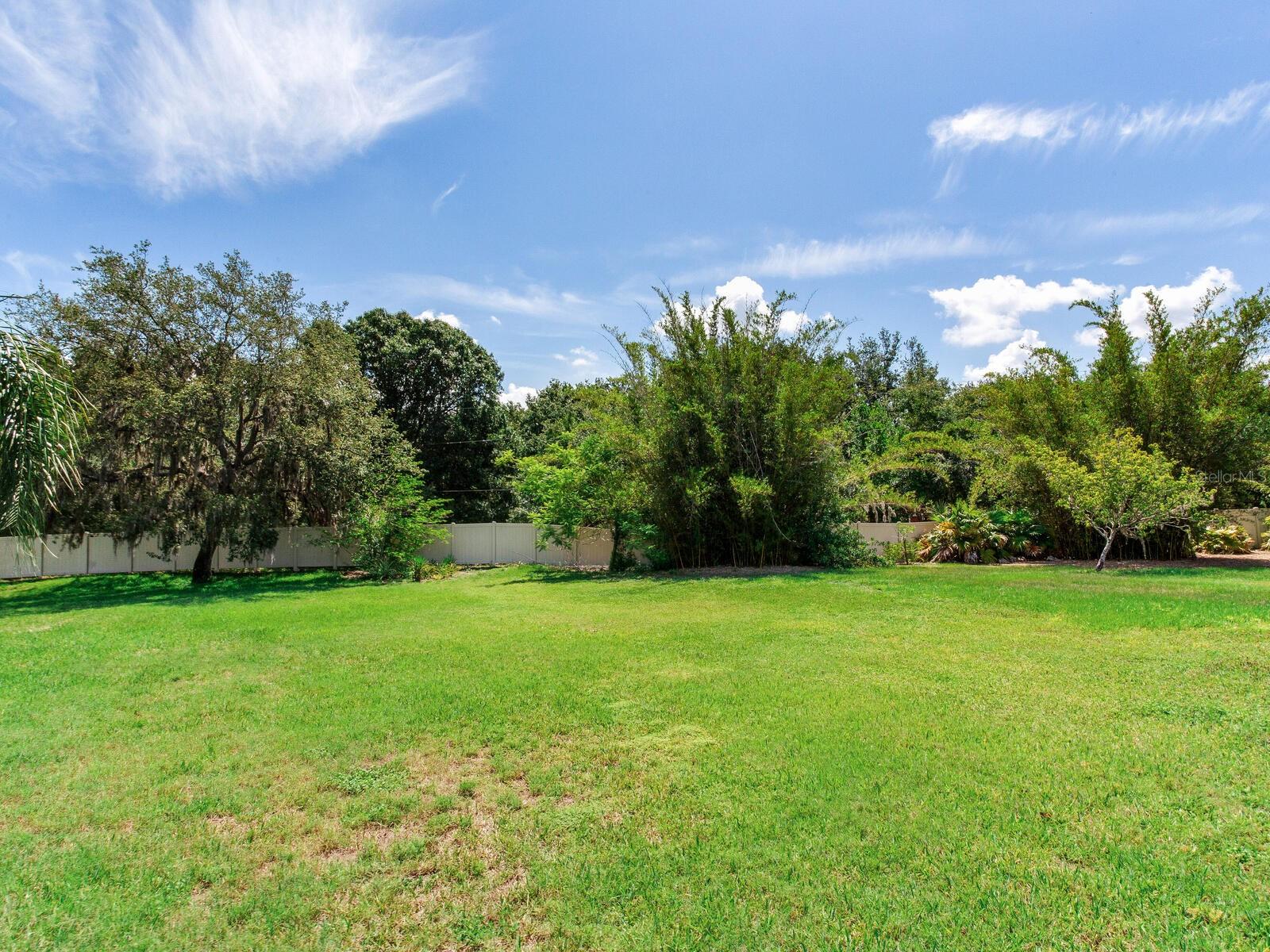 Backyard