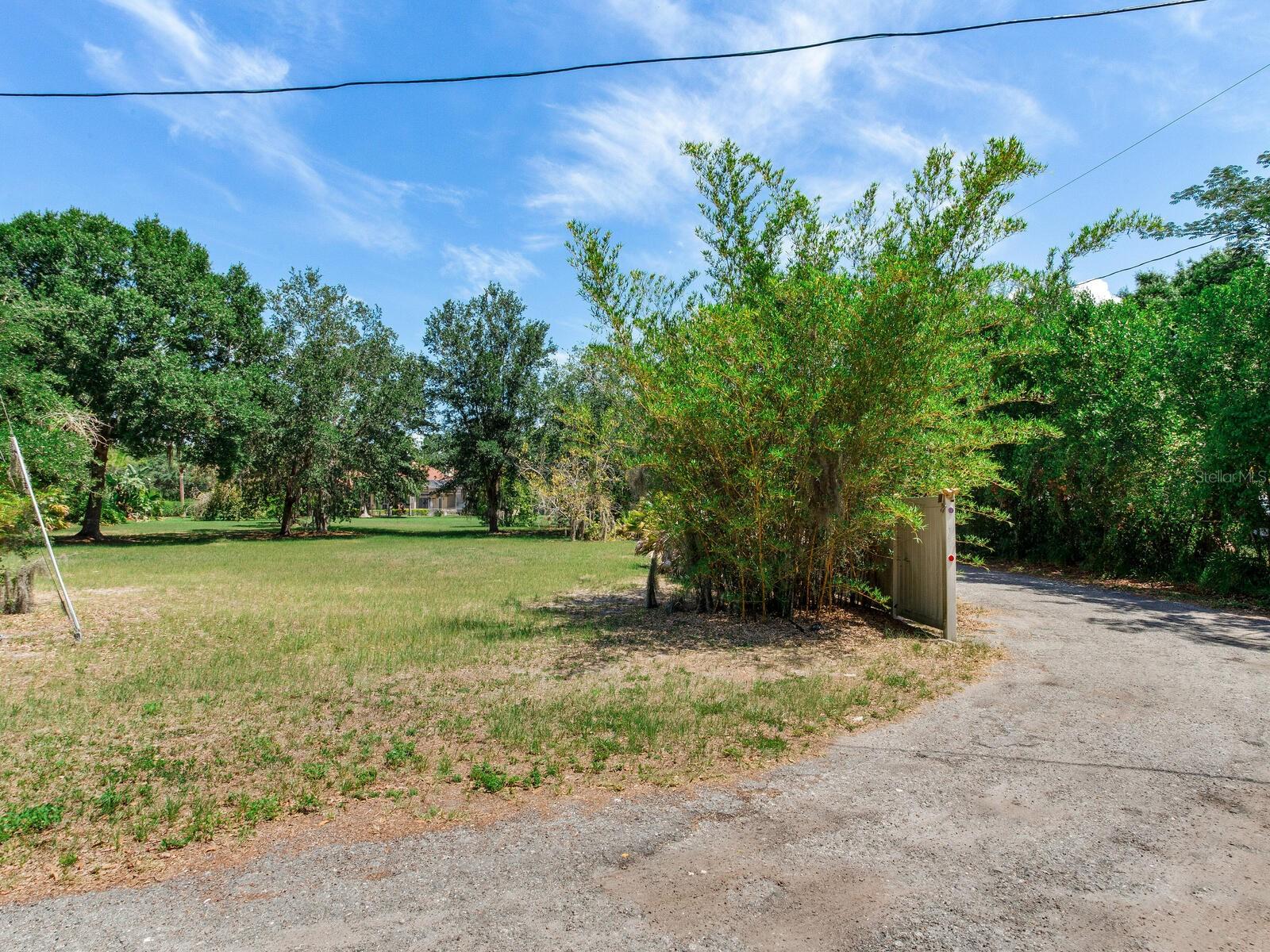Backyard / Right of Way Road