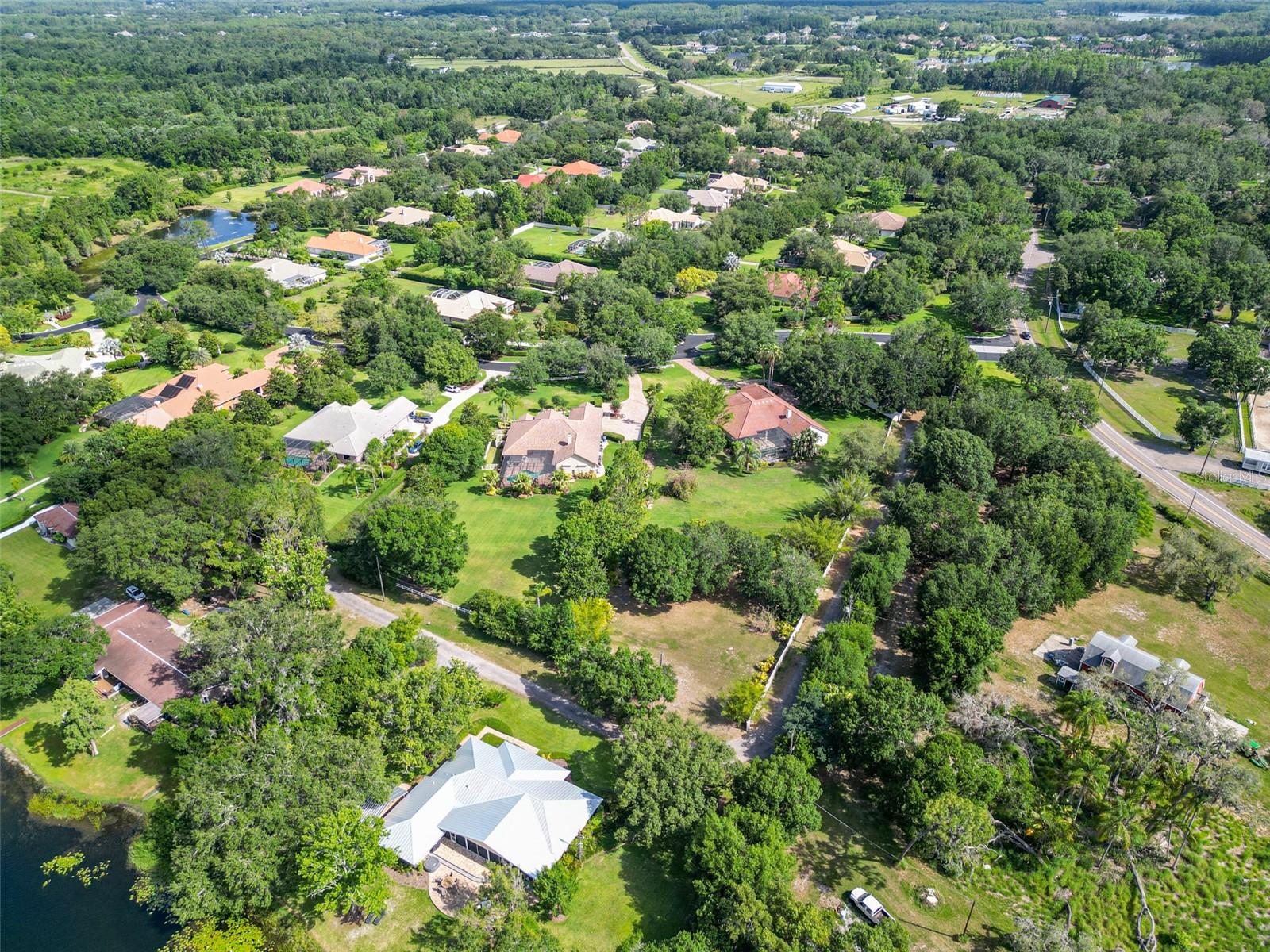Aerial - Backyard