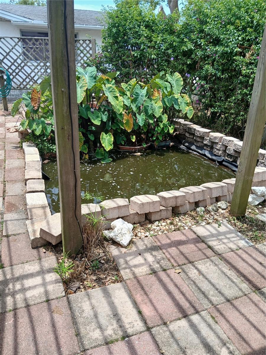 KOI  POND
