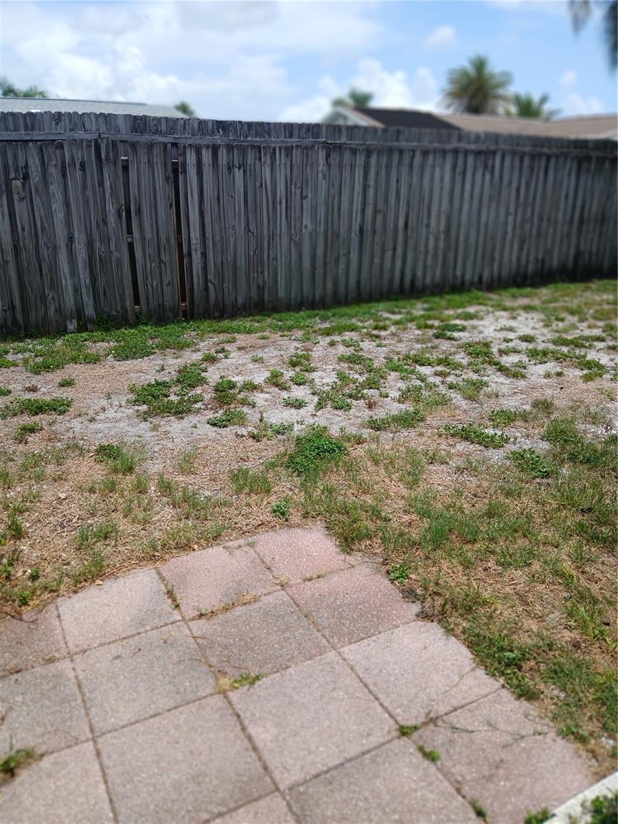 BACK YARD