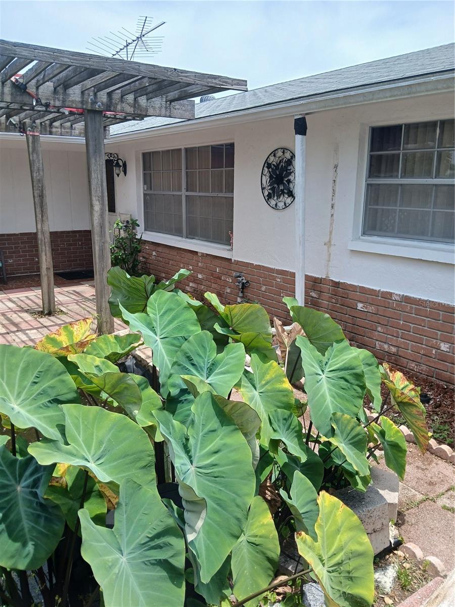 FRONT OF HOUSE
