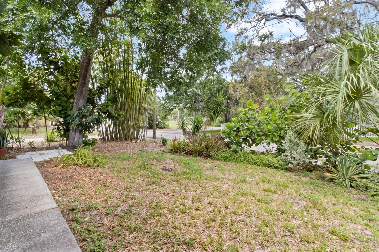 Side yard