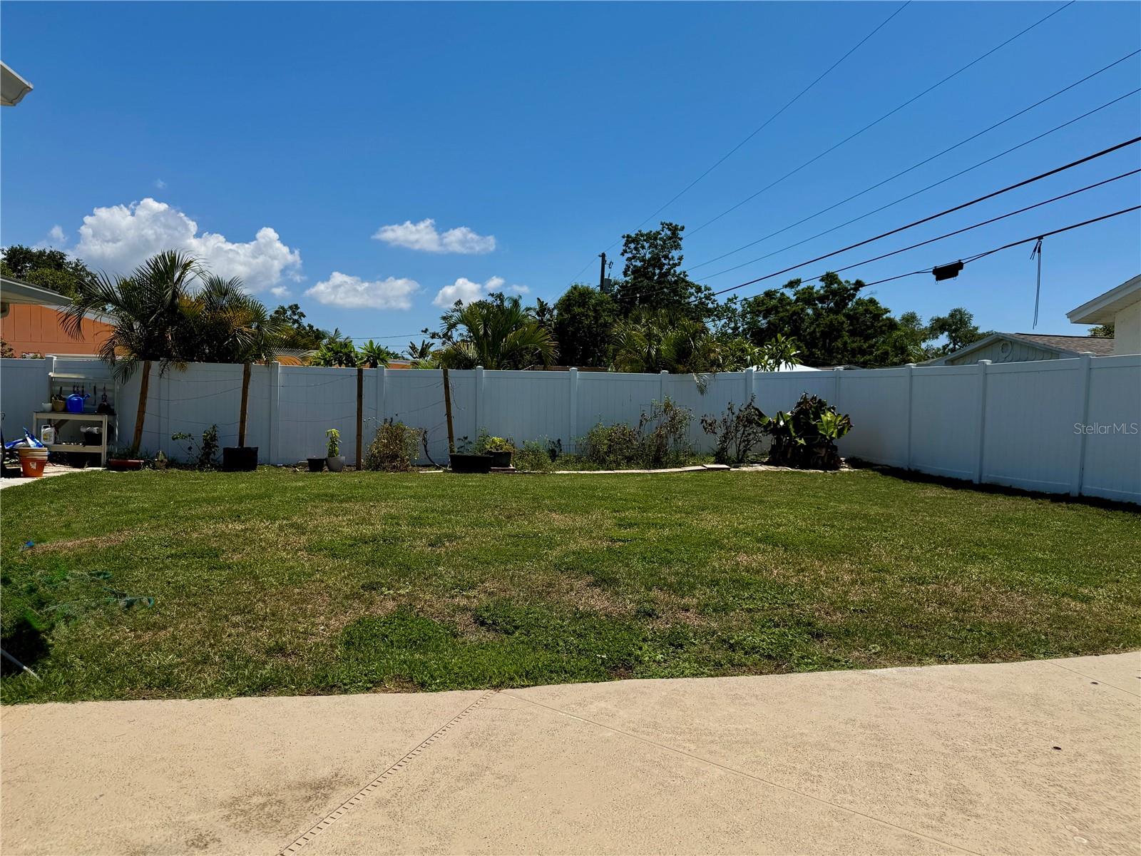 Left side of Yard