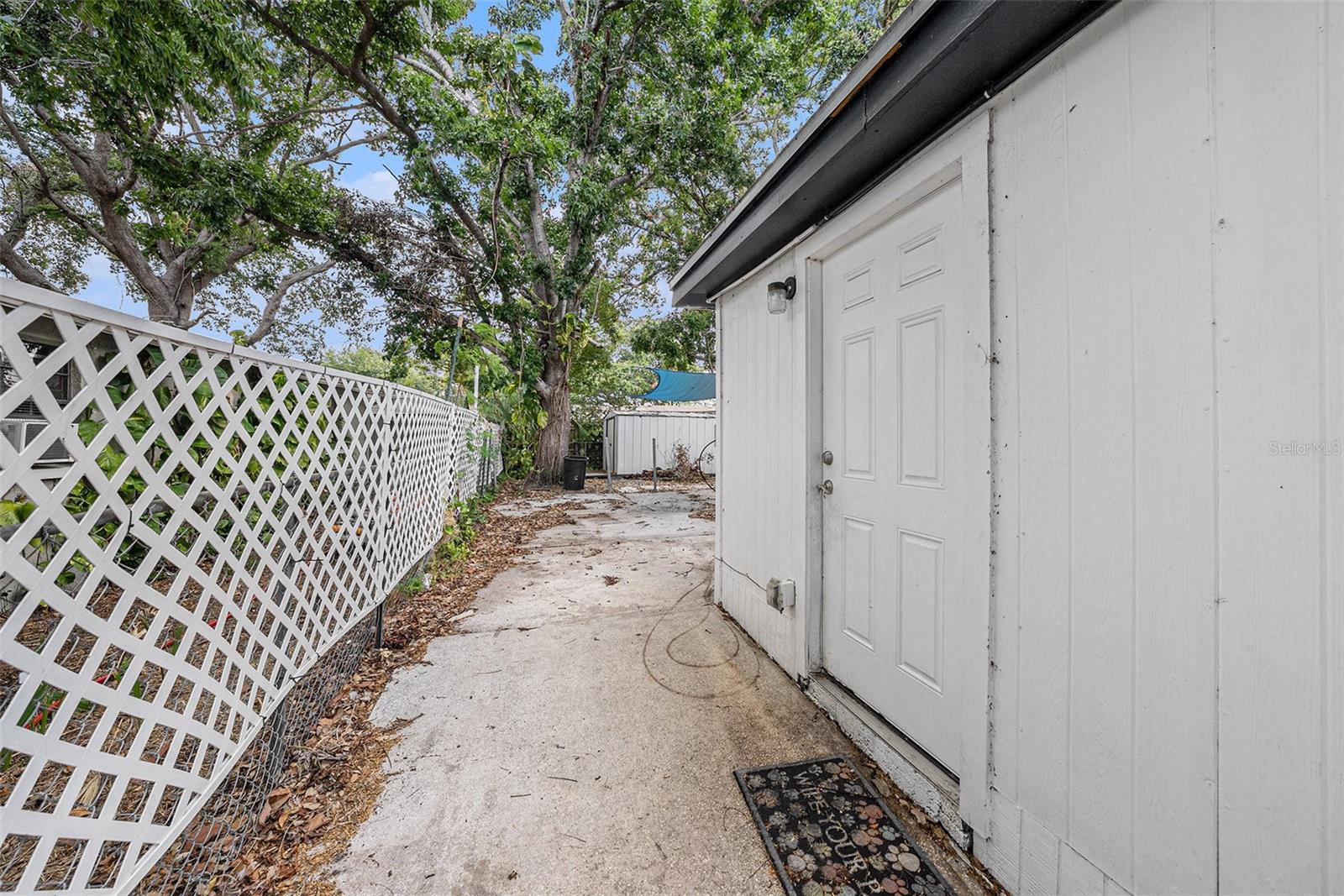 Backyard
