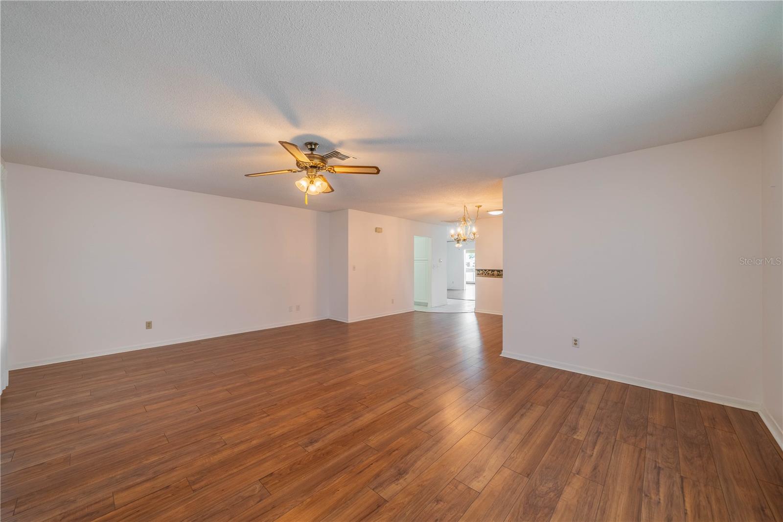 Living Room (from Front door)