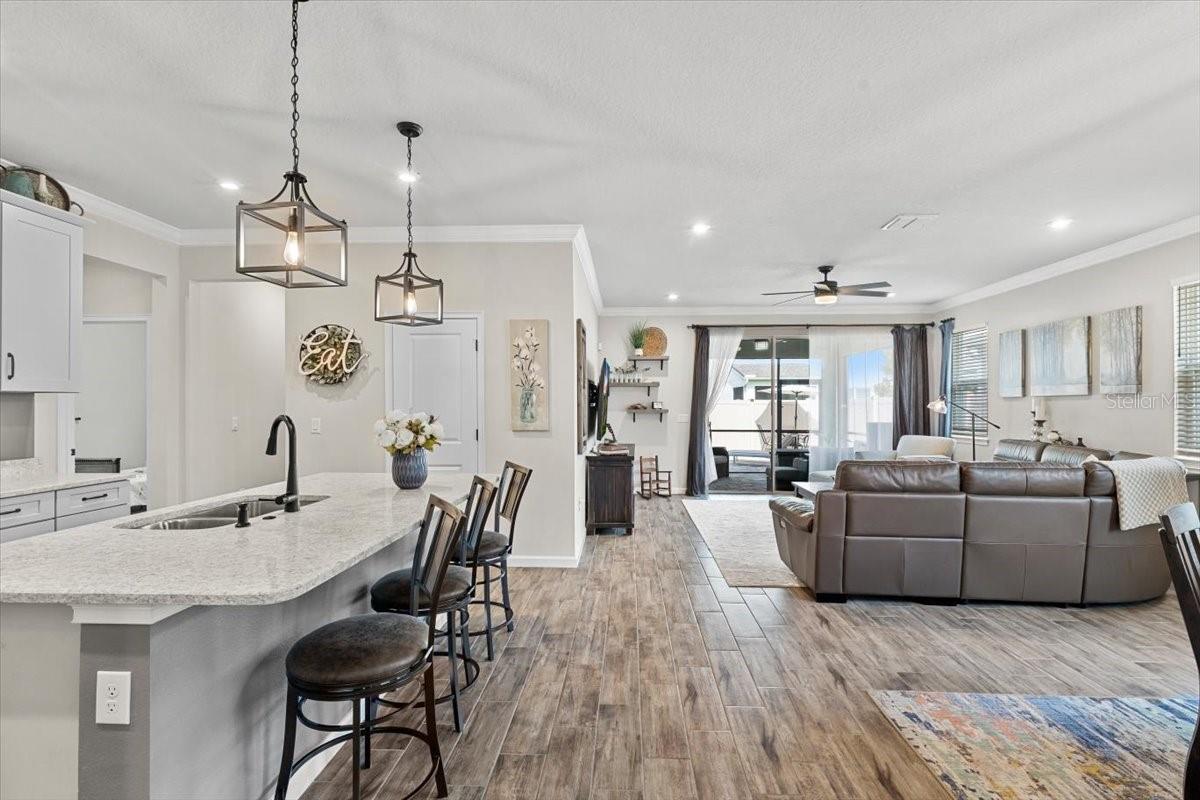 Kitchen living room view