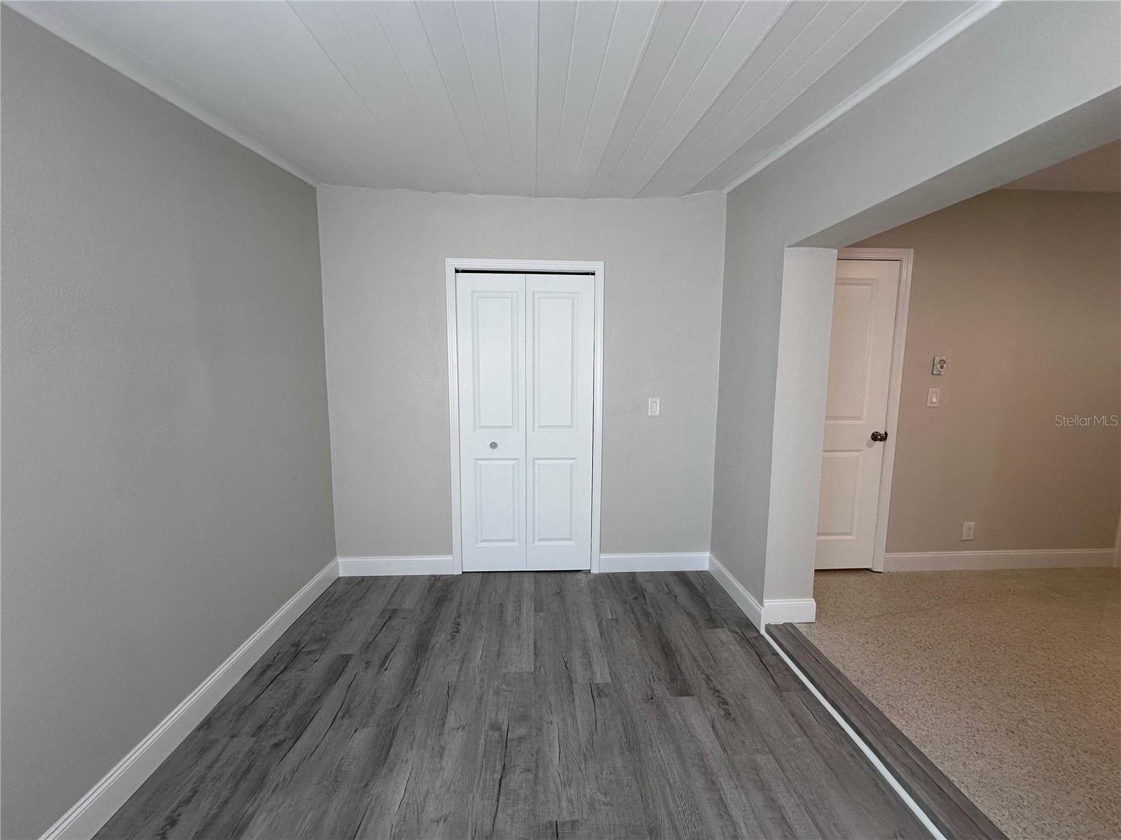 Primary Bedroom Closet Door