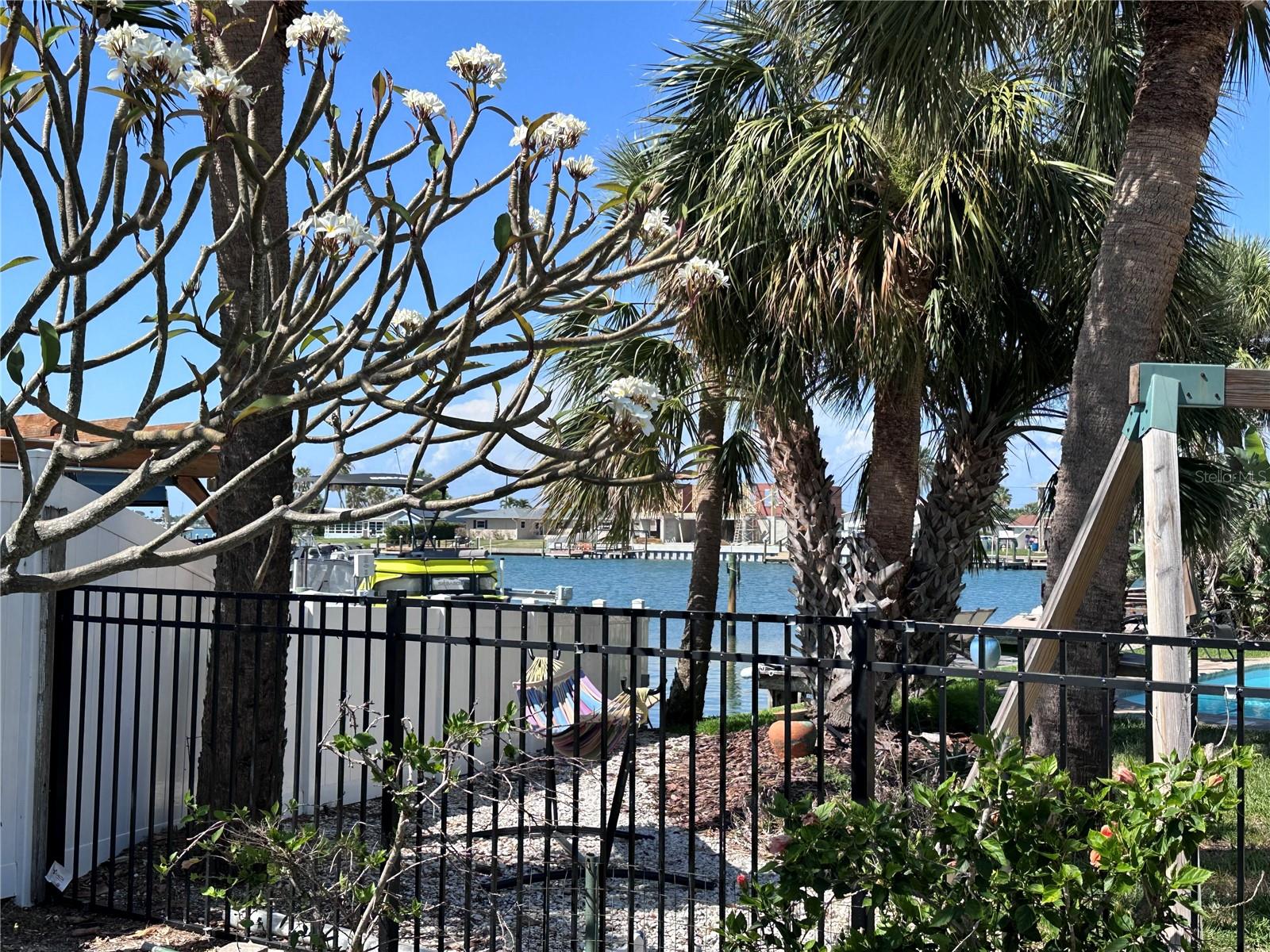 Backyard Water View