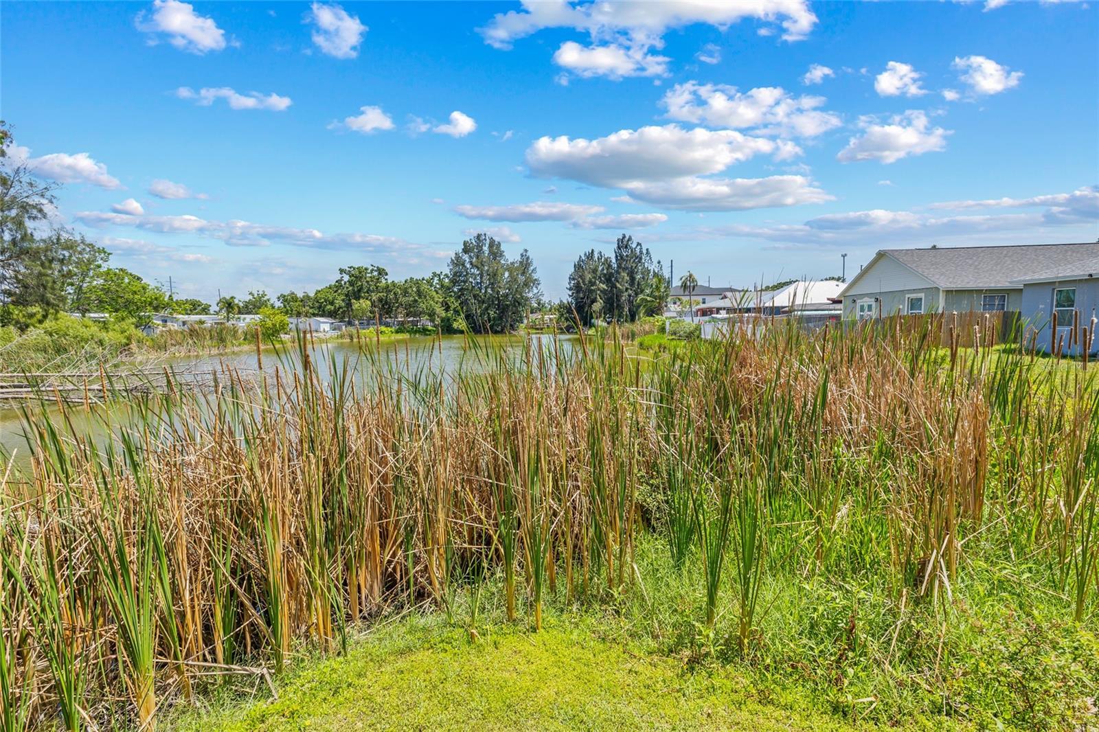 Your own waterfront view! Peaceful, natural, and tranquil—this lake view offers a stunning backdrop for everyday living and weekend relaxation.