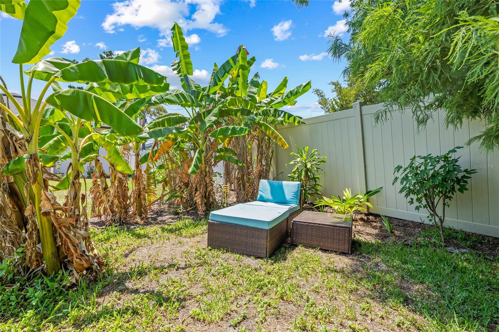 A private corner of the backyard surrounded by tropical banana trees and lush landscaping—perfect for reading, meditating, or sipping coffee in peace. Also, enjoy other fruits planted in your patio as fig, lemons and more.