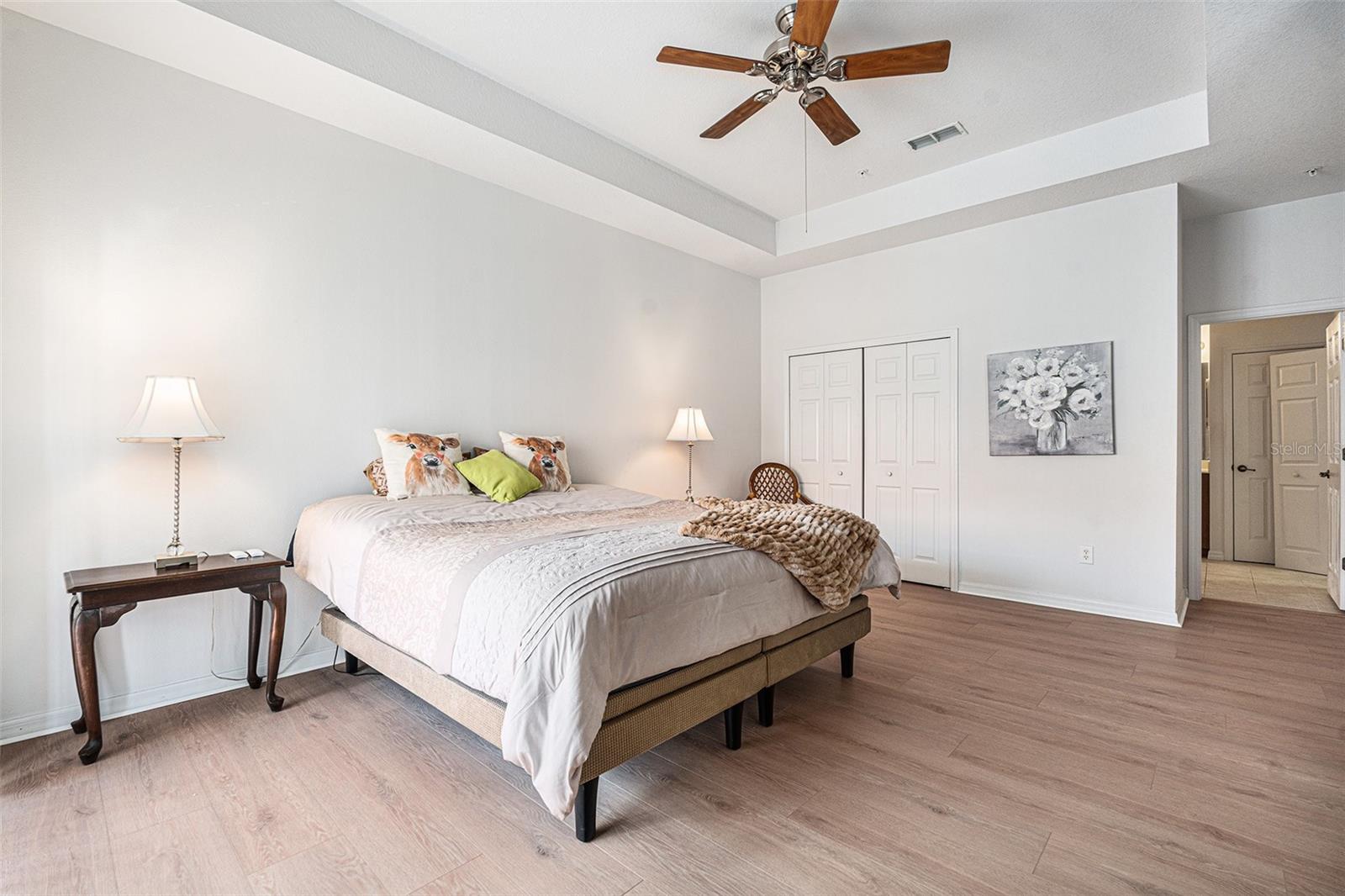 HUGE Primary Suite with tray ceilings.