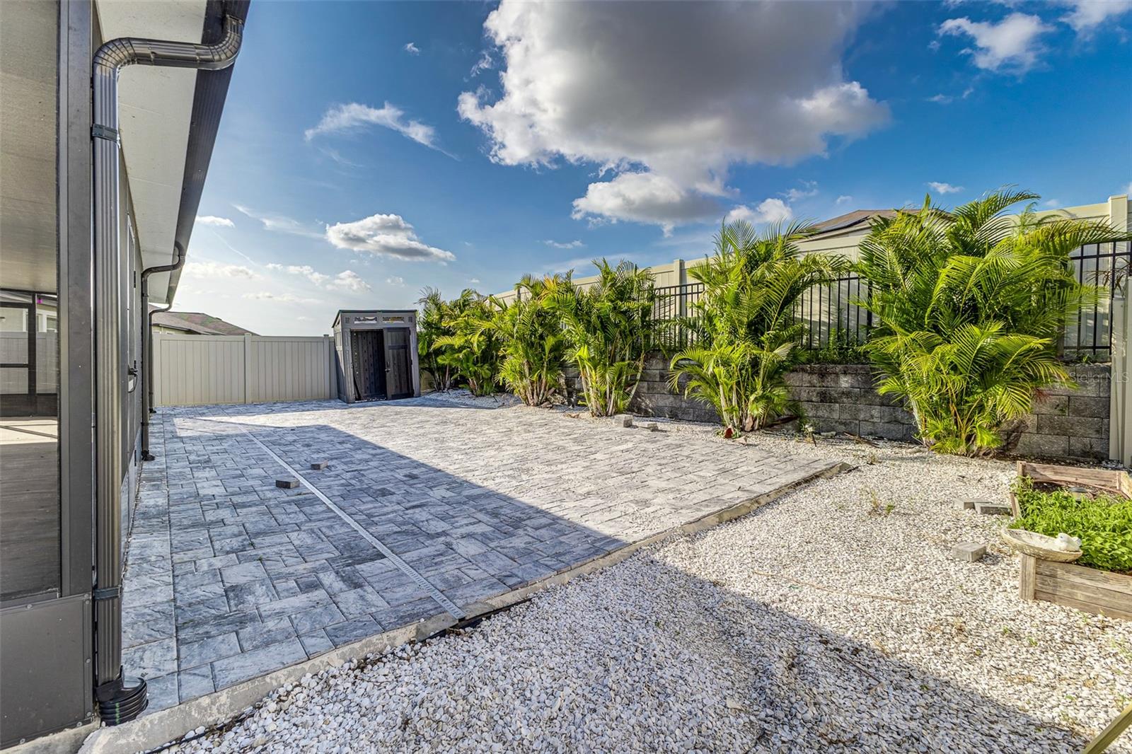 Back yard