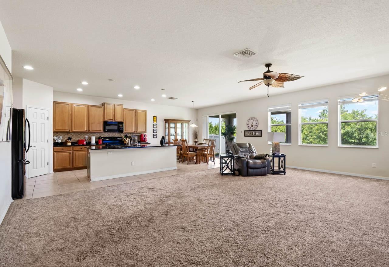 Large Living area overlooking the extensive backyard