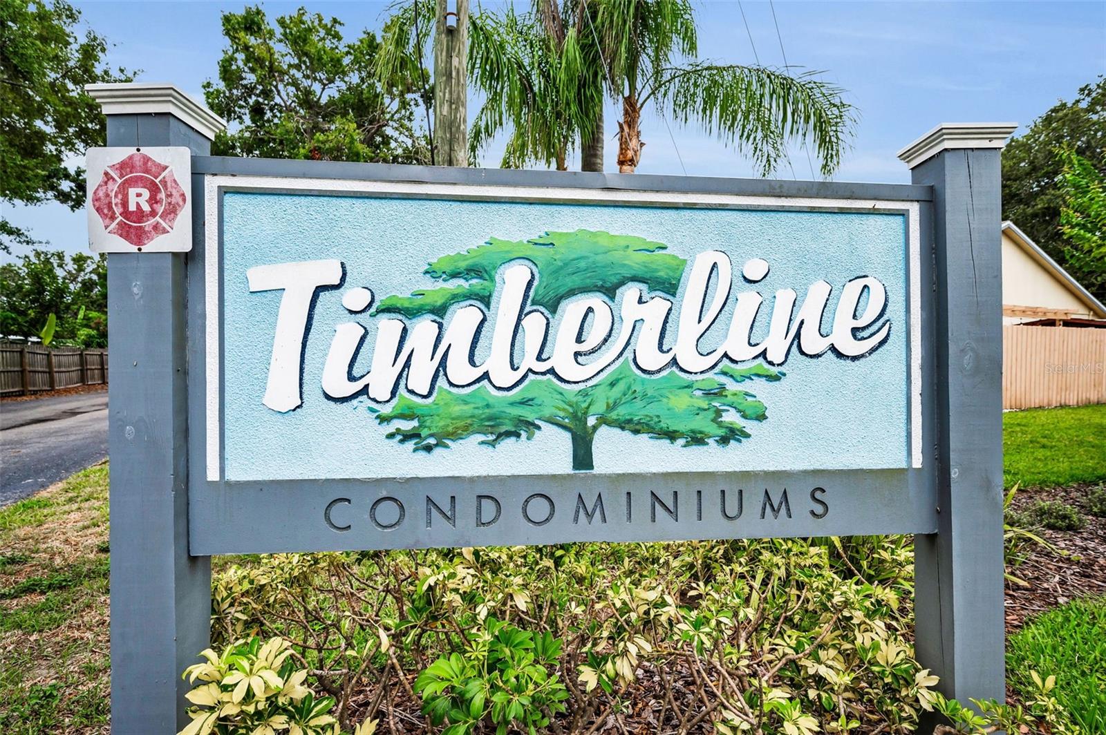 Welcome to Timberline!