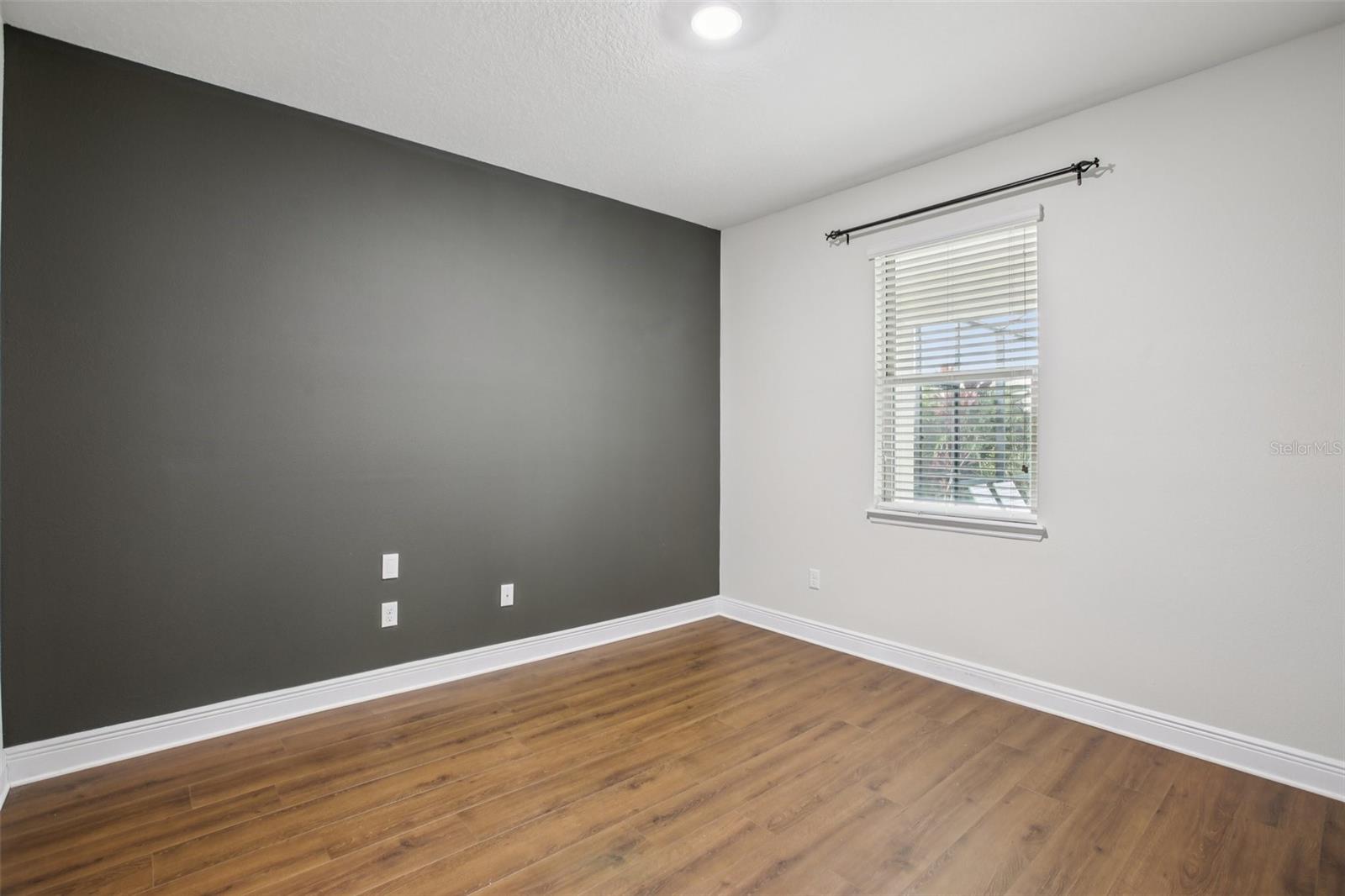 Cozy bedroom with accent wall