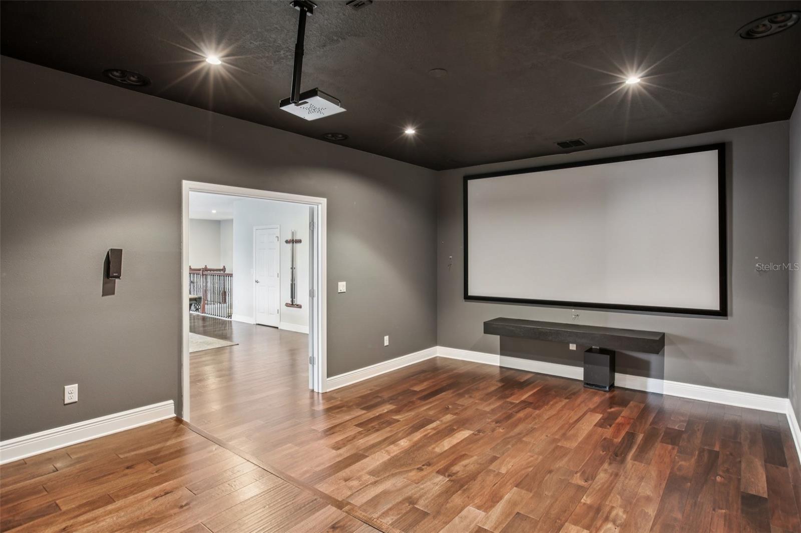 Home theater movie experience
