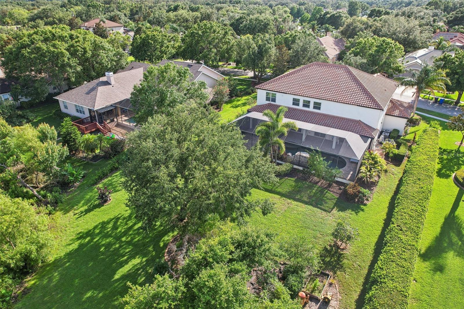 Lush half-acre setting from above