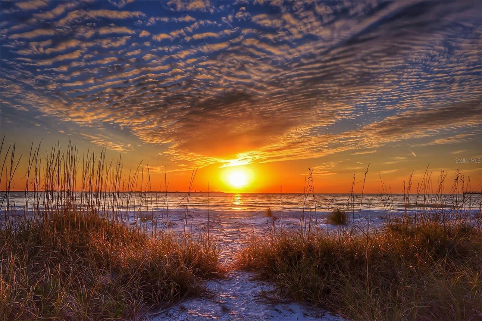 Endless Summer