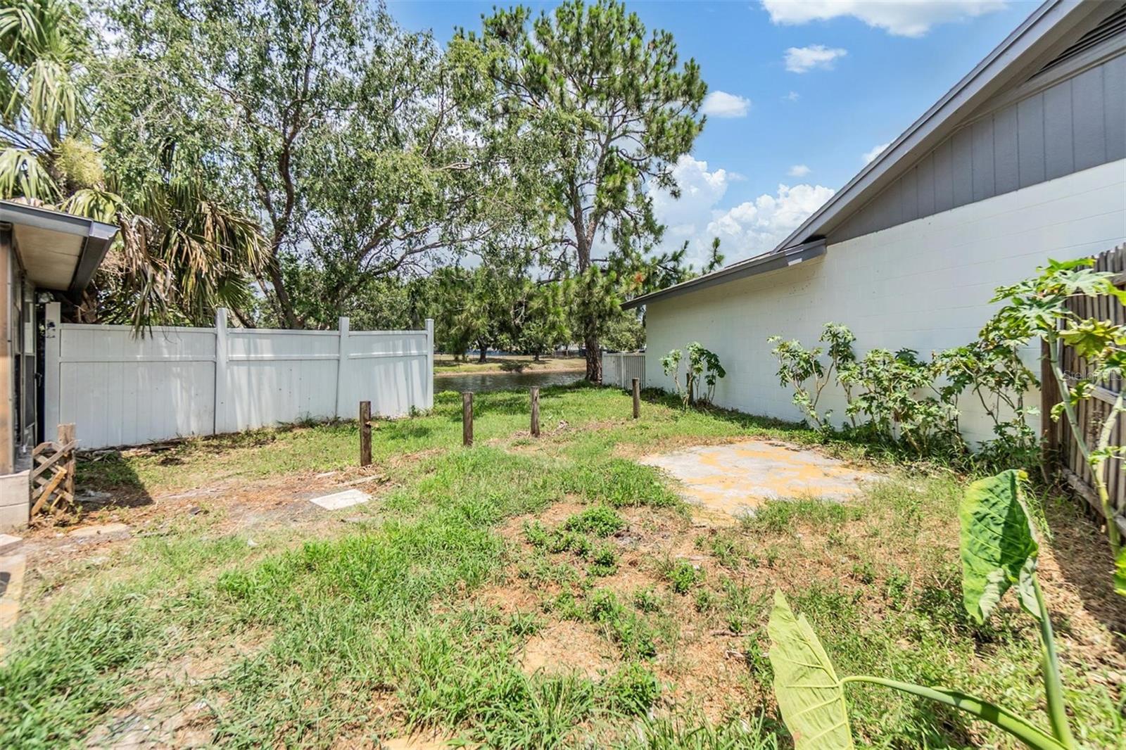 Backyard