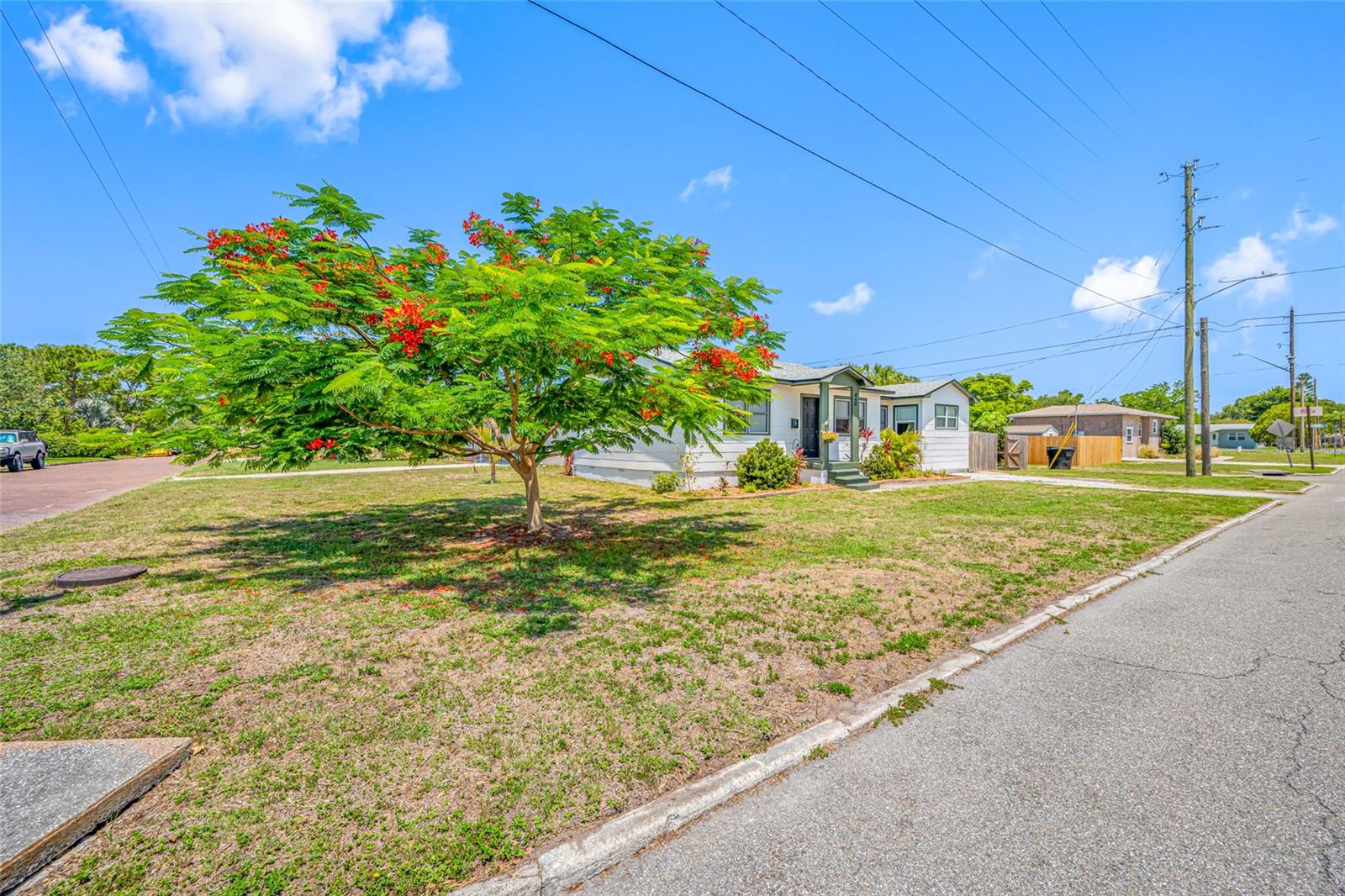 440 42ND STREET N, ST PETERSBURG, Florida 33713 - North Lawn