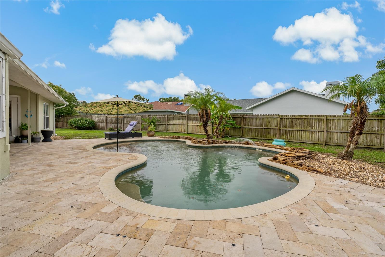 Pool / Back Yard