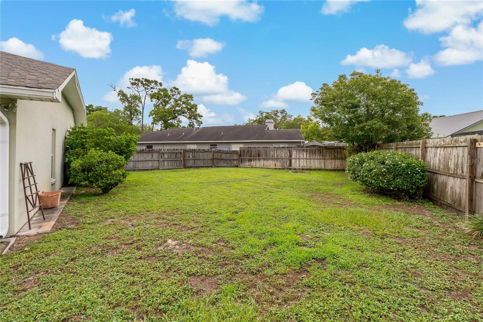 Back Yard