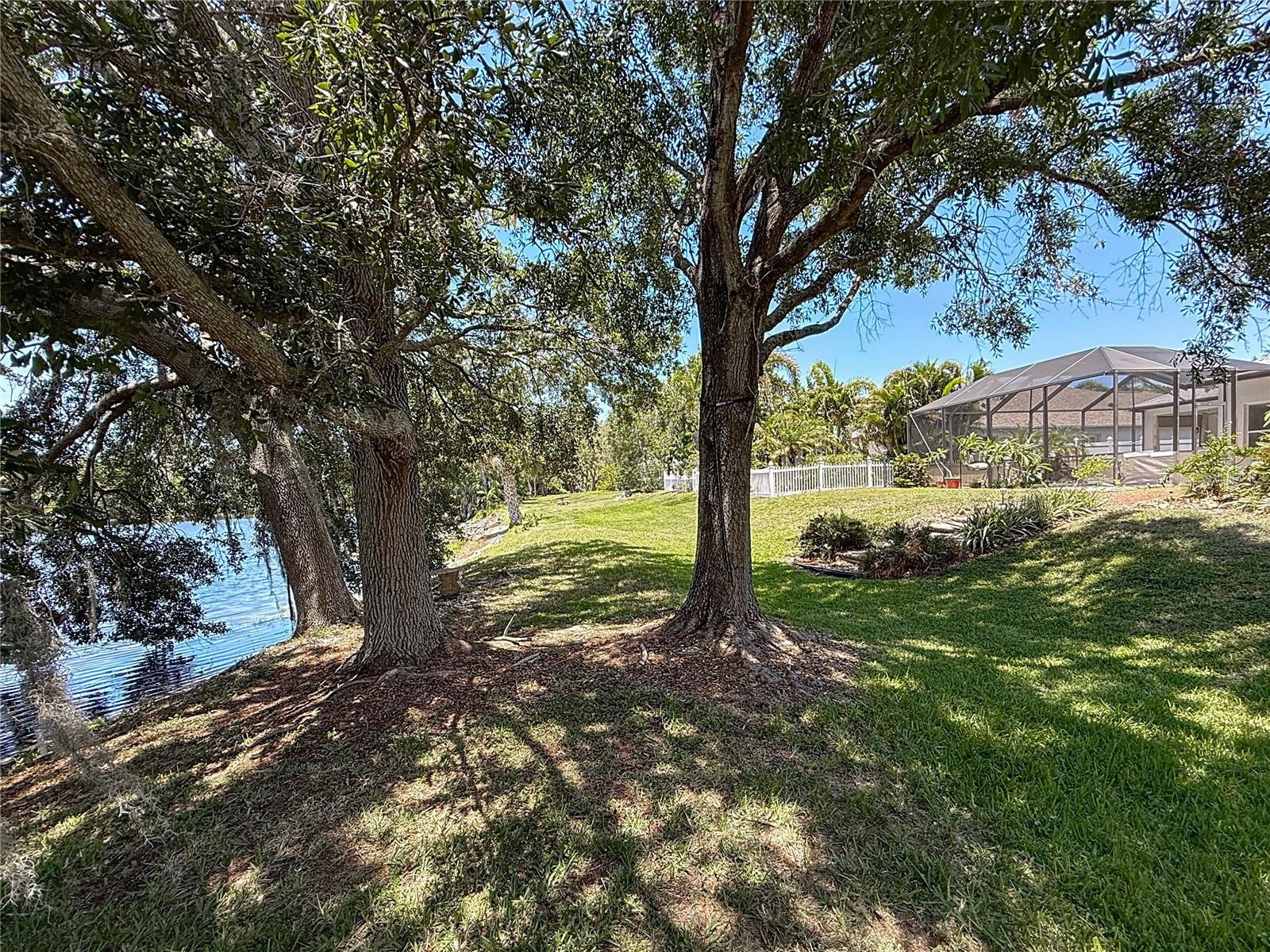 Backyard on Lake