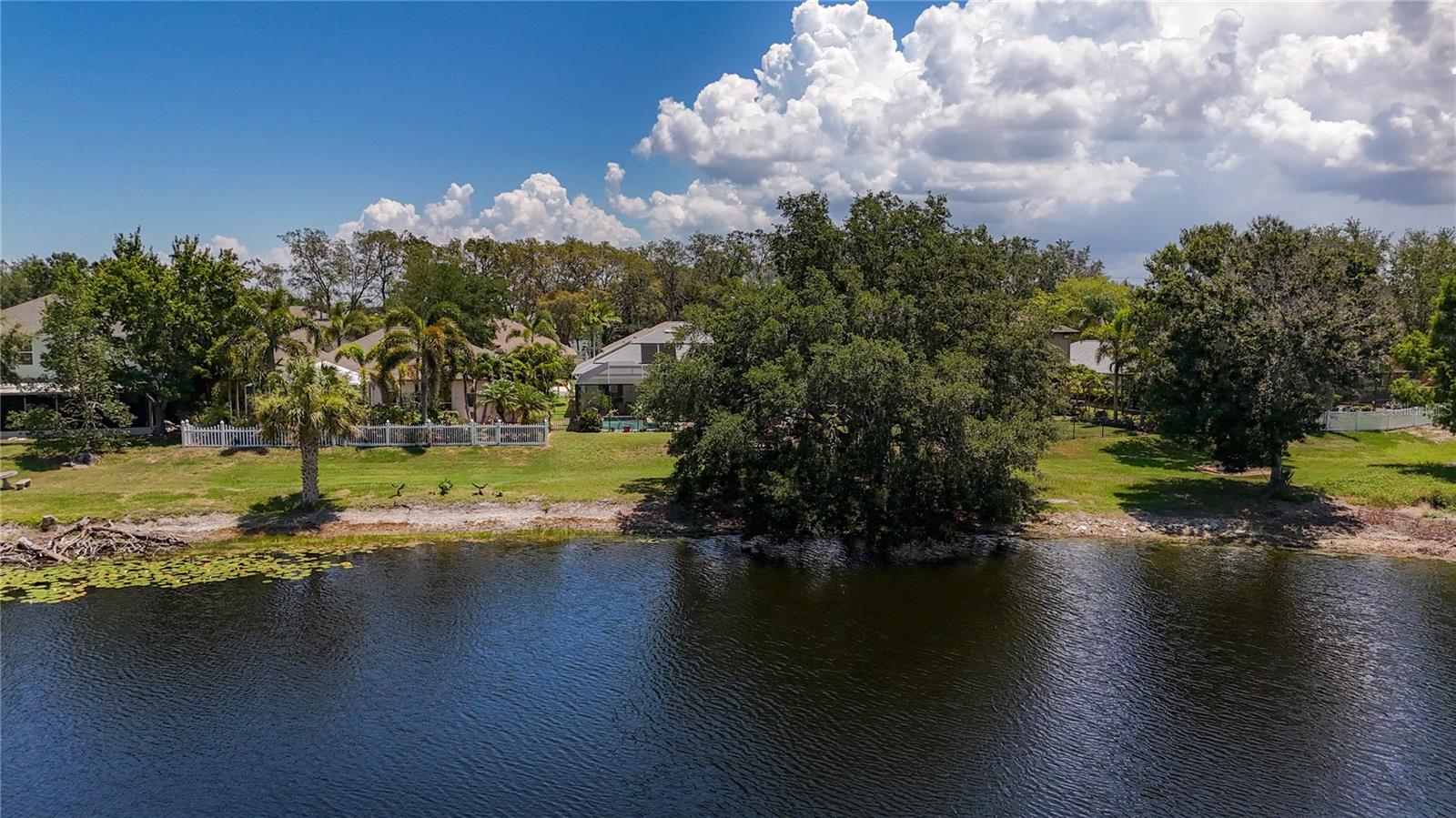 Back View from Lake