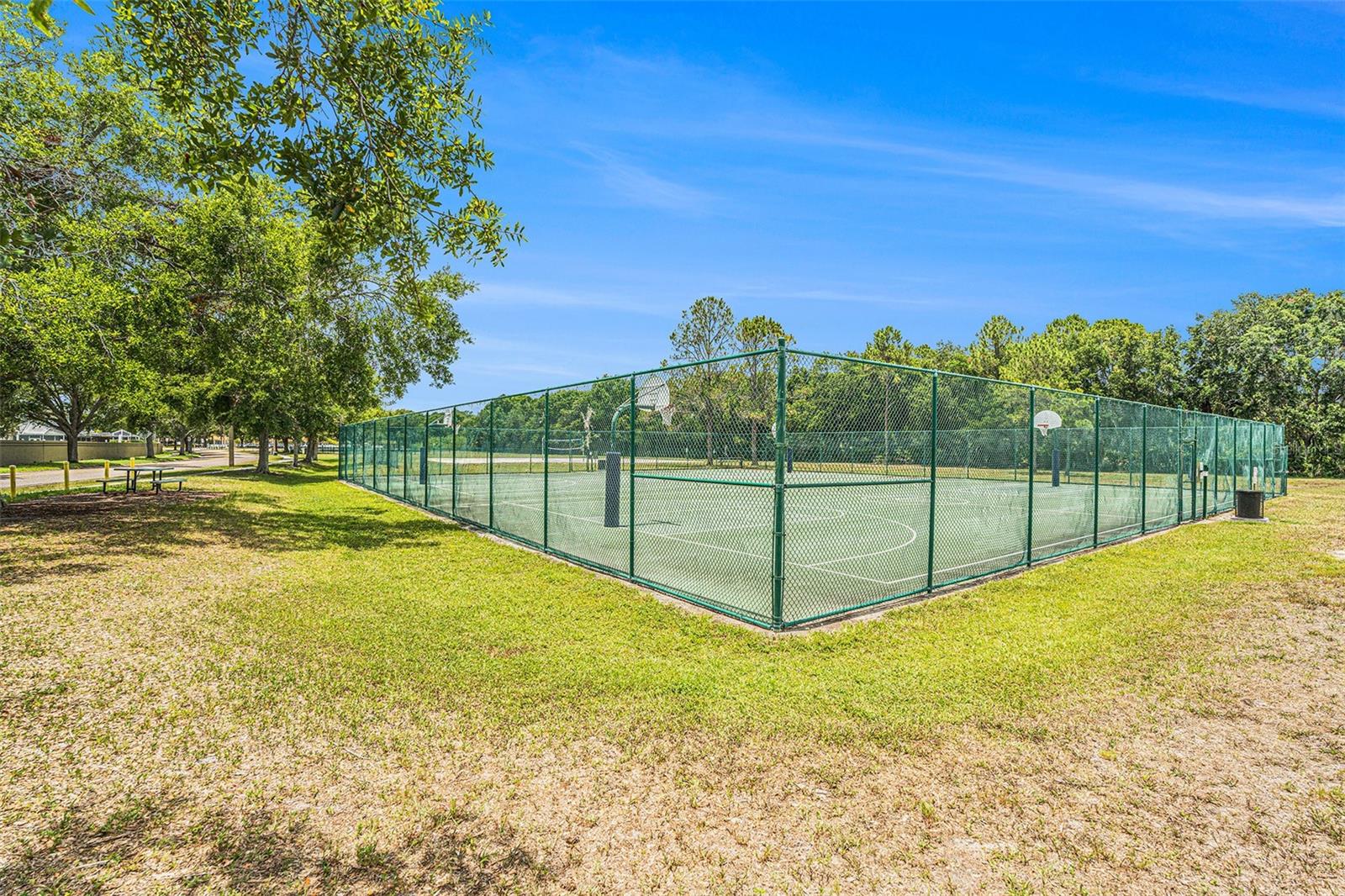 Nearby Community Amenities -basketball court