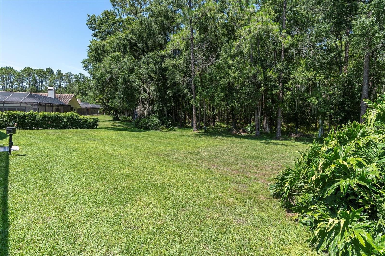 Generous Backyard
