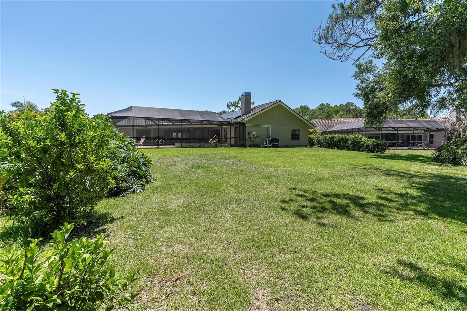 Generous Backyard