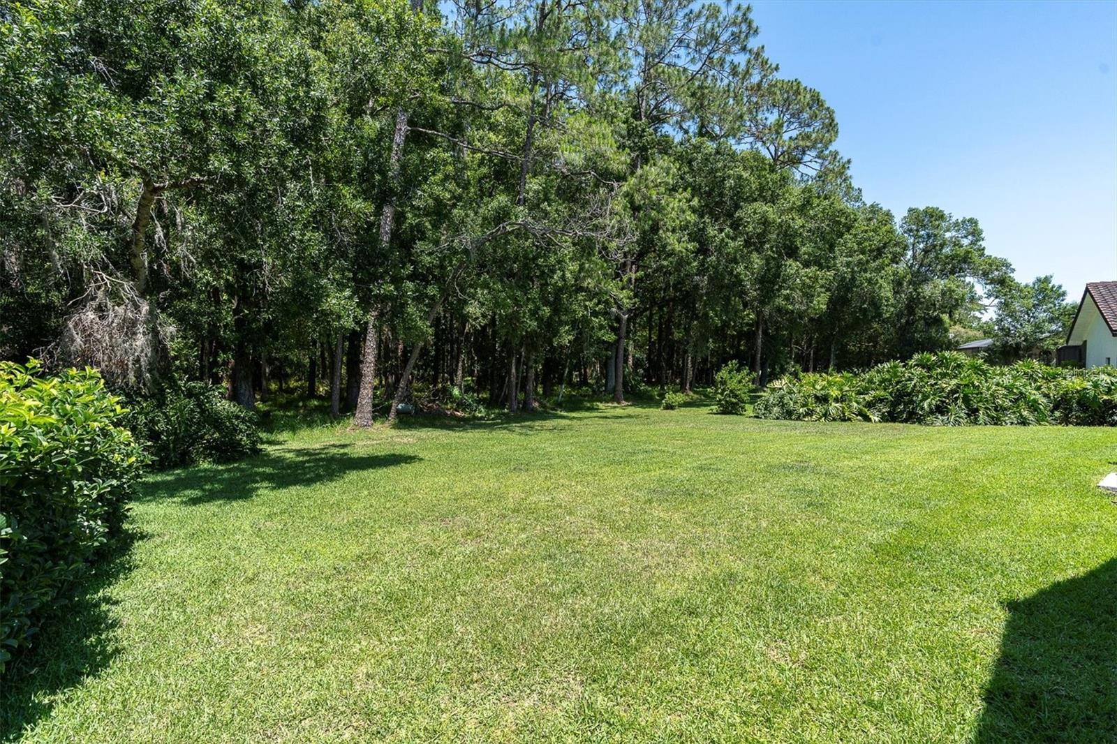 Generous Backyard