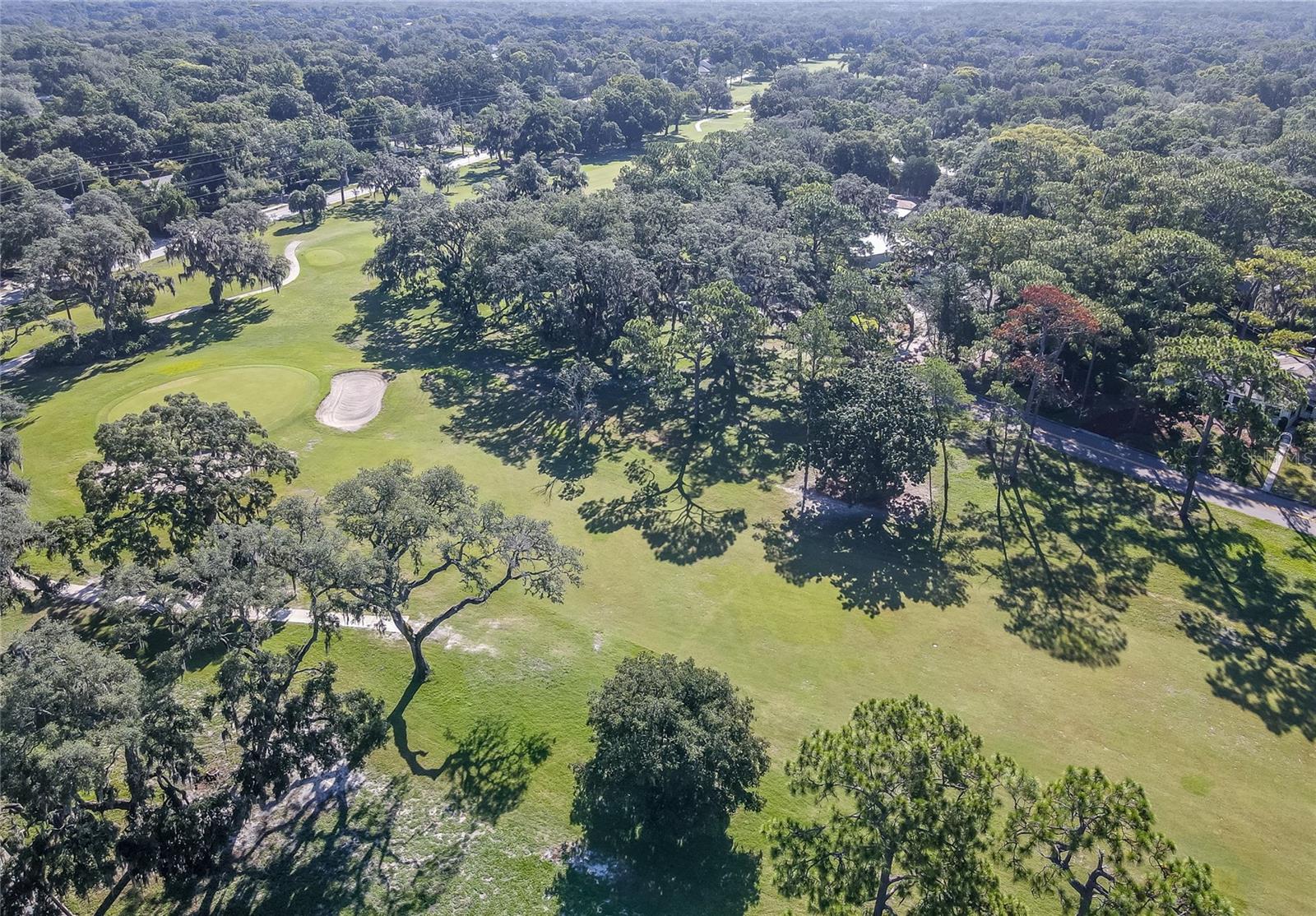 Mature Trees throughout the neighborhood