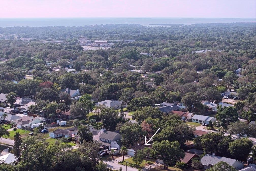 The open Gulf of Mexico 2.5 miles away from home. Palm Harbor University High School noted in picture