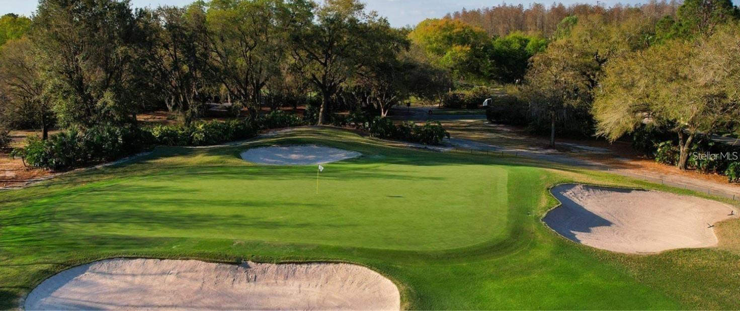 Carrollwood Country Club- membership required