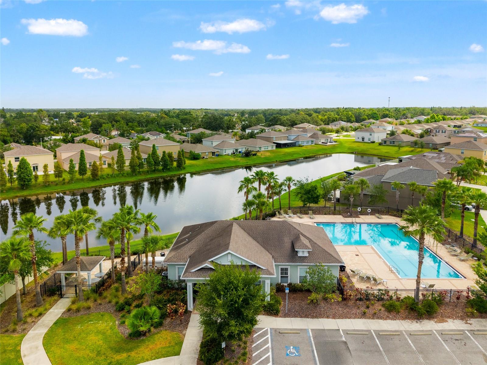 Arial of Community Pool