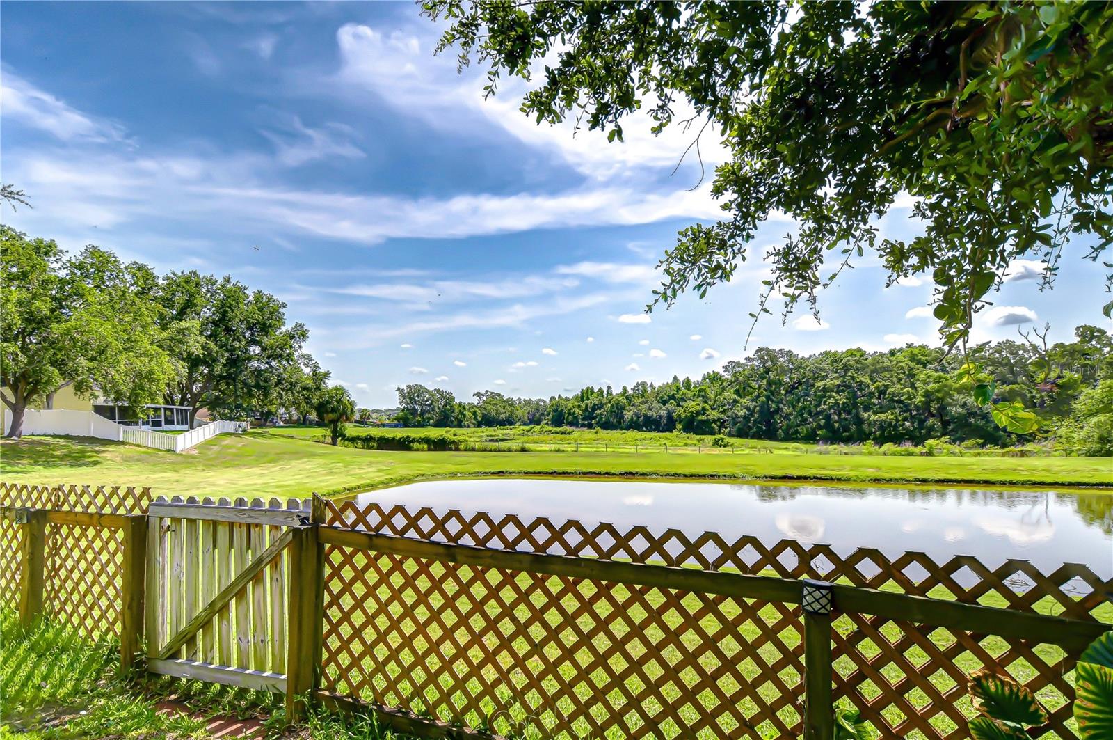 Premium pond lot!