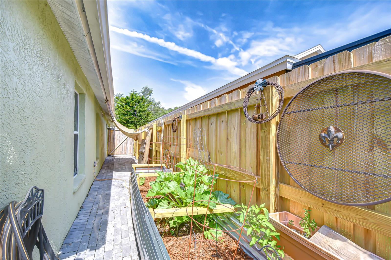 Above ground garden!